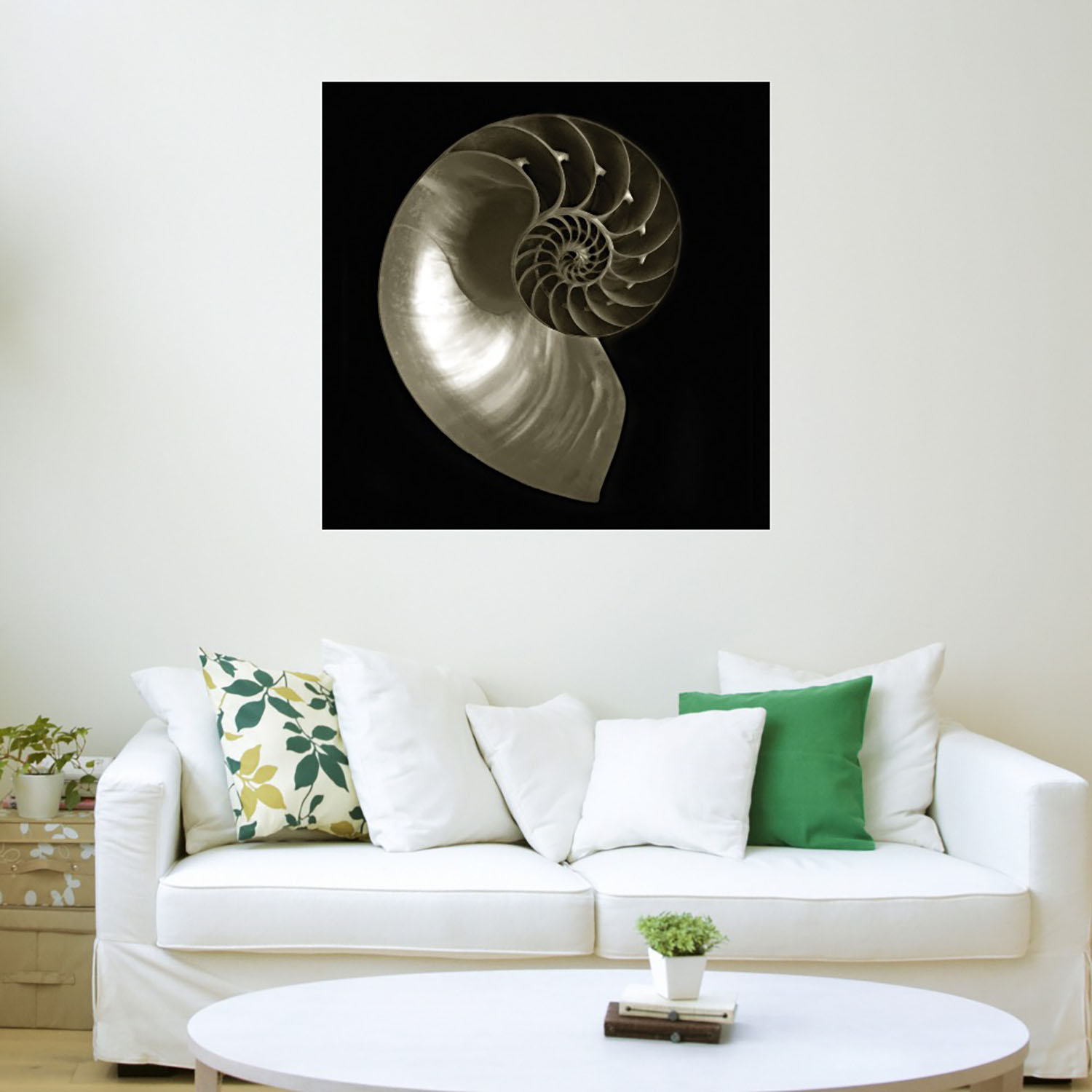 Foto 4 pulgar | Cuadro Decorativo Fine Art Tj Nautilo Sobre Negro Ilona Wellmann