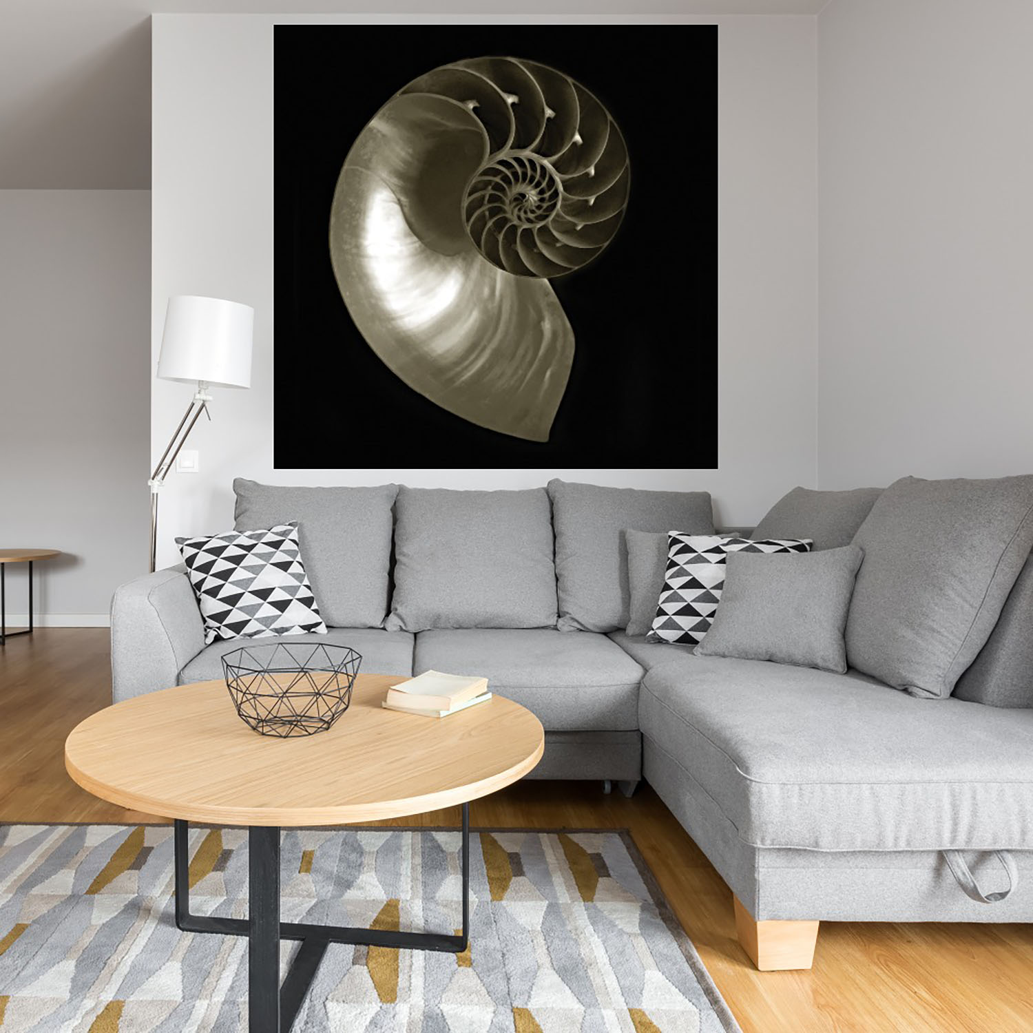 Foto 5 pulgar | Cuadro Decorativo Fine Art Tj Nautilo Sobre Negro Ilona Wellmann