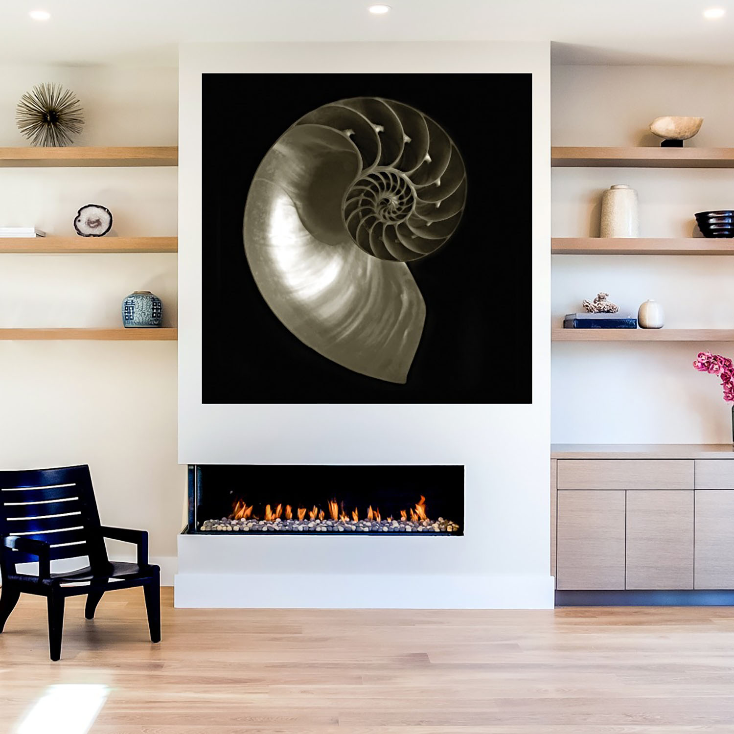 Foto 5 | Cuadro Decorativo Fine Art Tj Nautilo Sobre Negro Ilona Wellmann