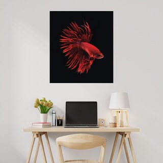 Foto 2 | Cuadro Decorativo Fine Art Tj Pescado Beta Rojo Incado Arte Animales Impresión en Lienzo