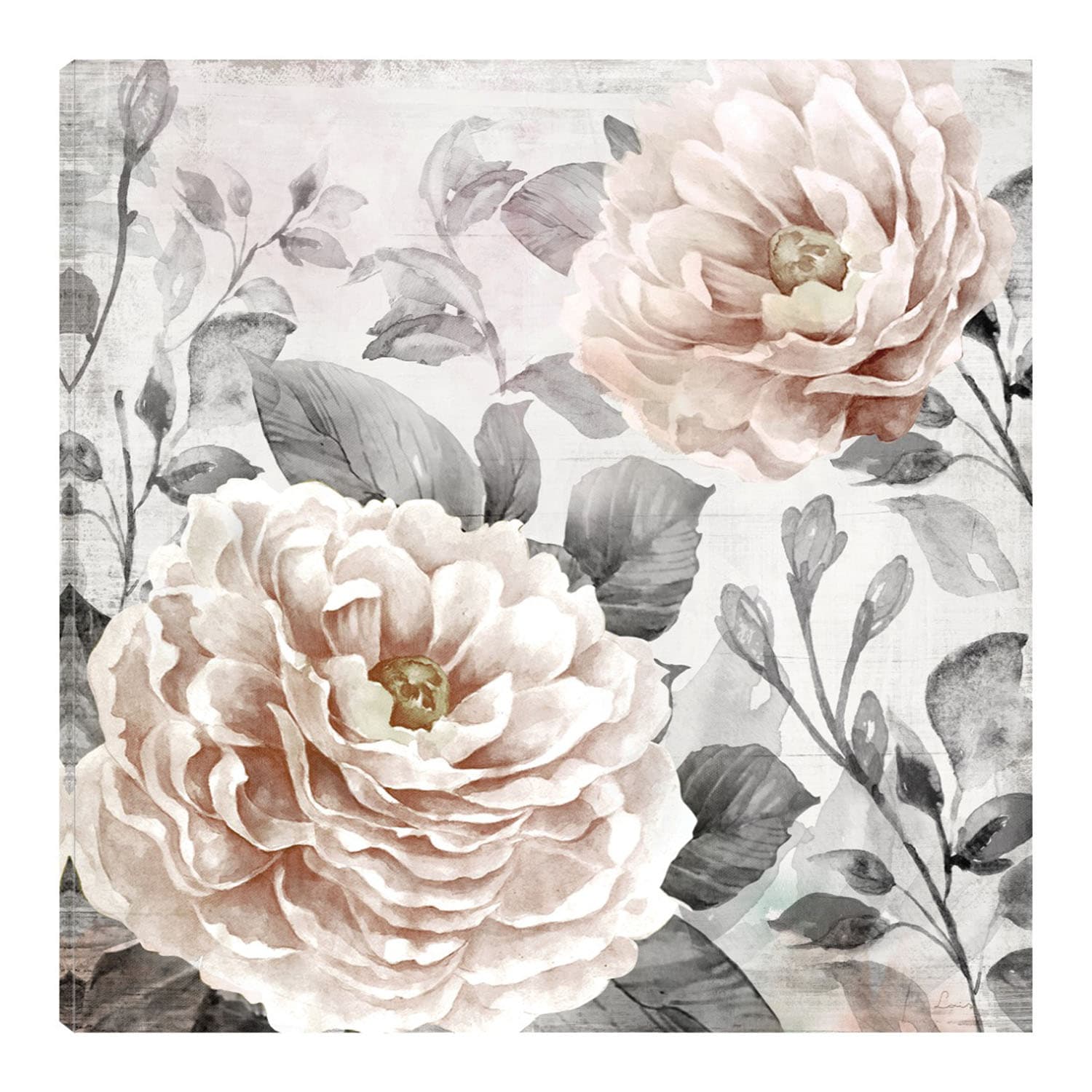 Cuadro Decorativo Fine Art Tj Rubor de Jardín II Heather Hayes Arte Floral  Impresión en Lienzo $2,402