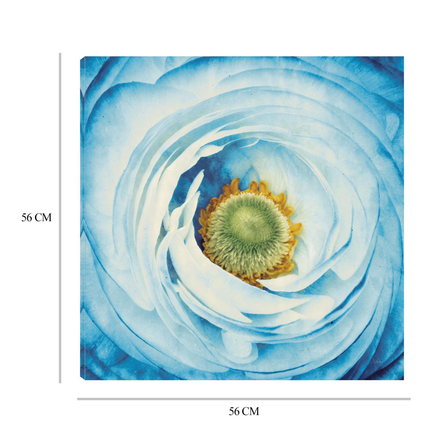 Foto 7 pulgar | Cuadro Decorativo - Peonia Blanco Con Azul - Aledanda  - Impresión En Lienzo - Fine Art Tj