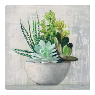 Foto 1 | Cuadro Decorativo - Suculenta Ii - Julia Purinton - Fine Art Tj - Arte Floral - Impresión En Lienzo