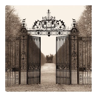 Foto 1 | Cuadro Decorativo - Puerta De Hampton - Alan Blaustein - Arte Ciudades - Impresión En Lienzo - Fine Art Tj