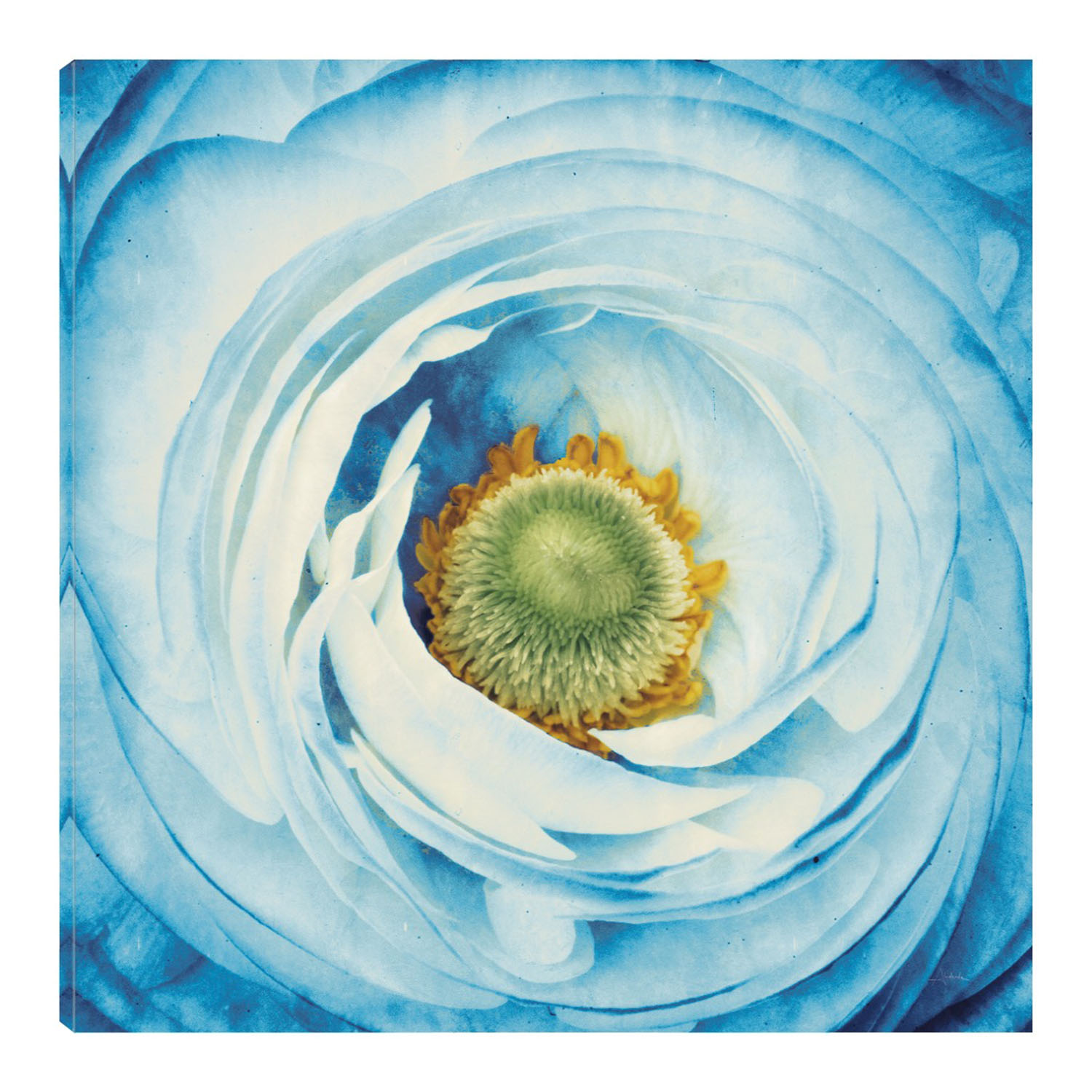 Foto 2 pulgar | Cuadro Decorativo - Peonia Blanco Con Azul - Aledanda  Fine Art Tj - - Arte Floral - Impresión En Lienzo