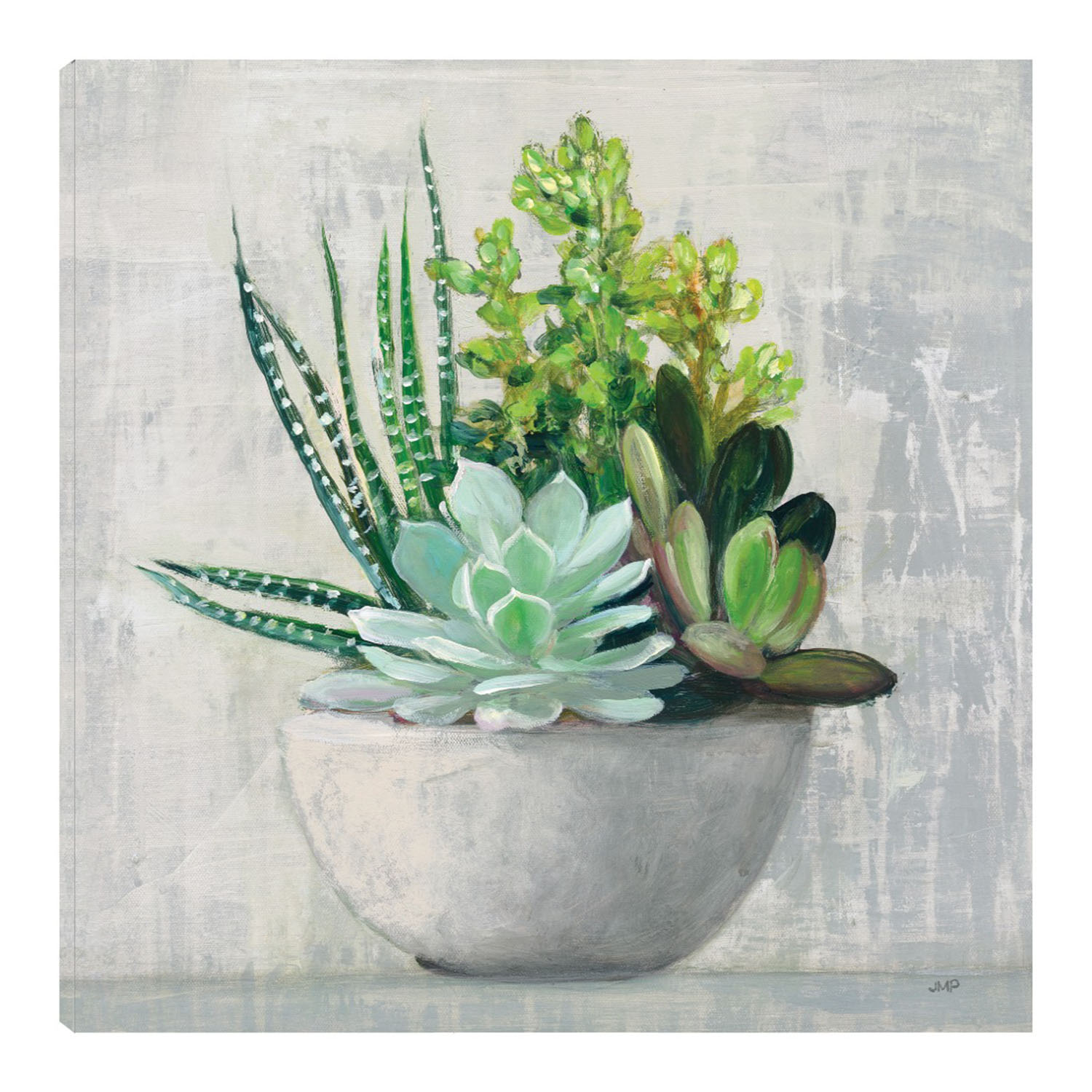 Cuadro Decorativo - Suculenta Ii - Julia Purinton  -  Fine Art Tj - Arte Floral - Impresión En Lienzo
