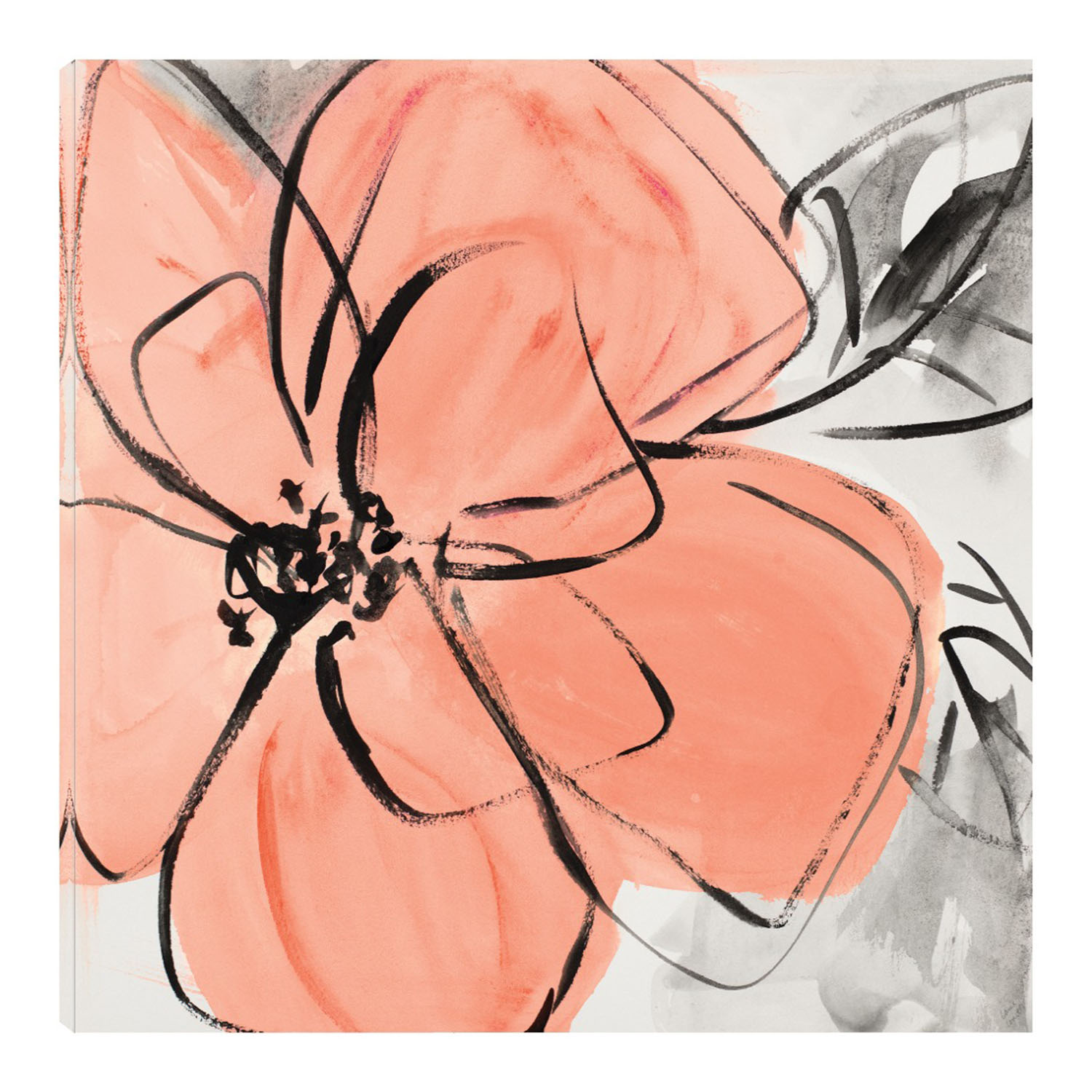 Cuadro Decorativo Fine Art Tj Rosa Café II Lanie Loreth Arte Floral Impresión en Lienzo