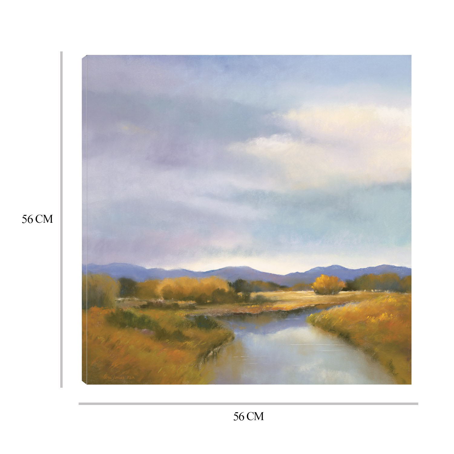 Foto 7 pulgar | Cuadro Decorativo Fine Art TJ 'Orilla del Río' de Teri Jonas 56 x 56 cm