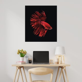 Foto 2 | Cuadro Decorativo Fine Art Tj Pescado Beta Rojo Incado Arte Animales Impresión en Lienzo