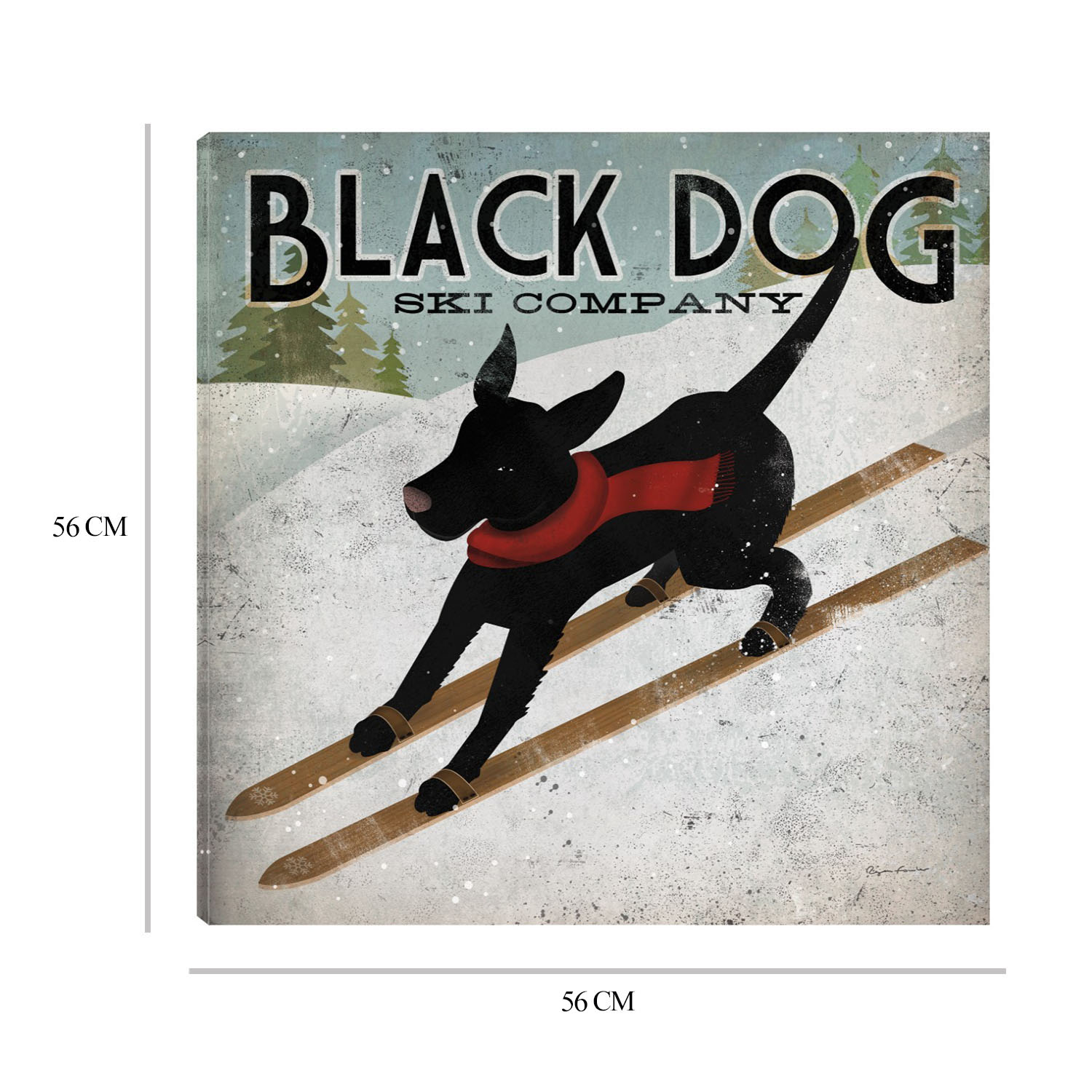Foto 6 | Cuadro Decorativo Fine Art Tj Perro Negro Esquiando Ryan Fowler Arte Animales Impresión en Lienzo