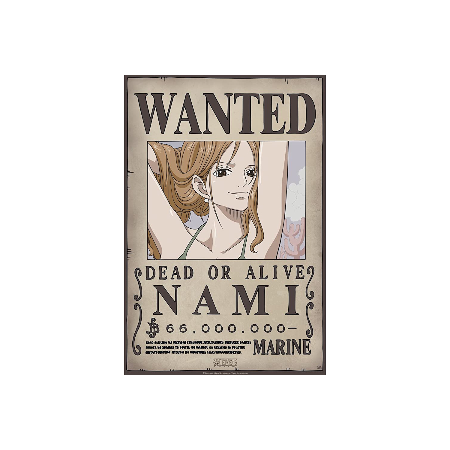 Foto 2 pulgar | Póster One Piece Reward Wanted Nami 28 X 42 Cm - Venta Internacional