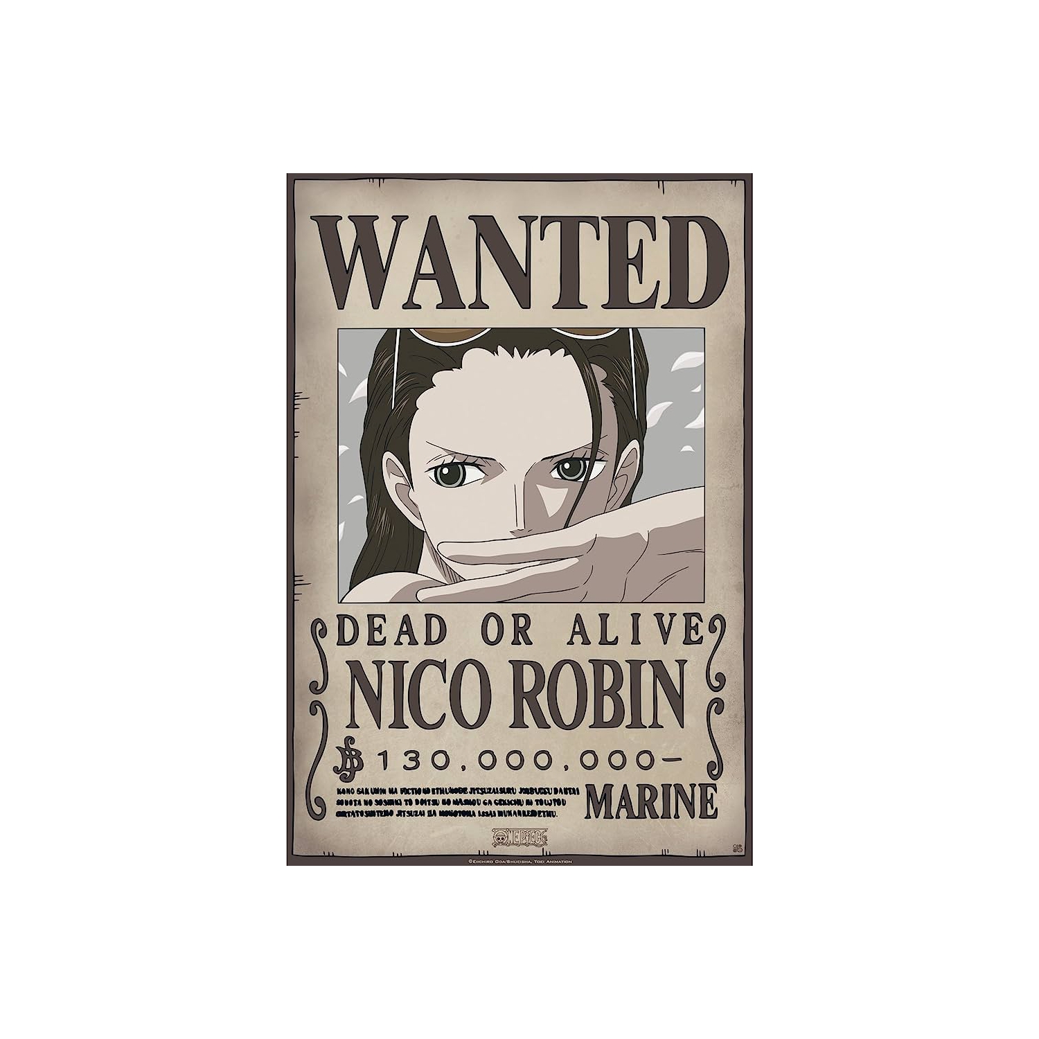 Foto 2 pulgar | Póster One Piece Reward Wanted Nico Robin 28 X 42 Cm - Venta Internacional