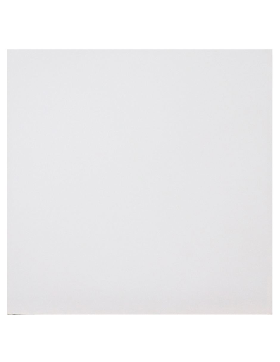 Lienzo En Blanco Para Pintar - Fine Art Tj