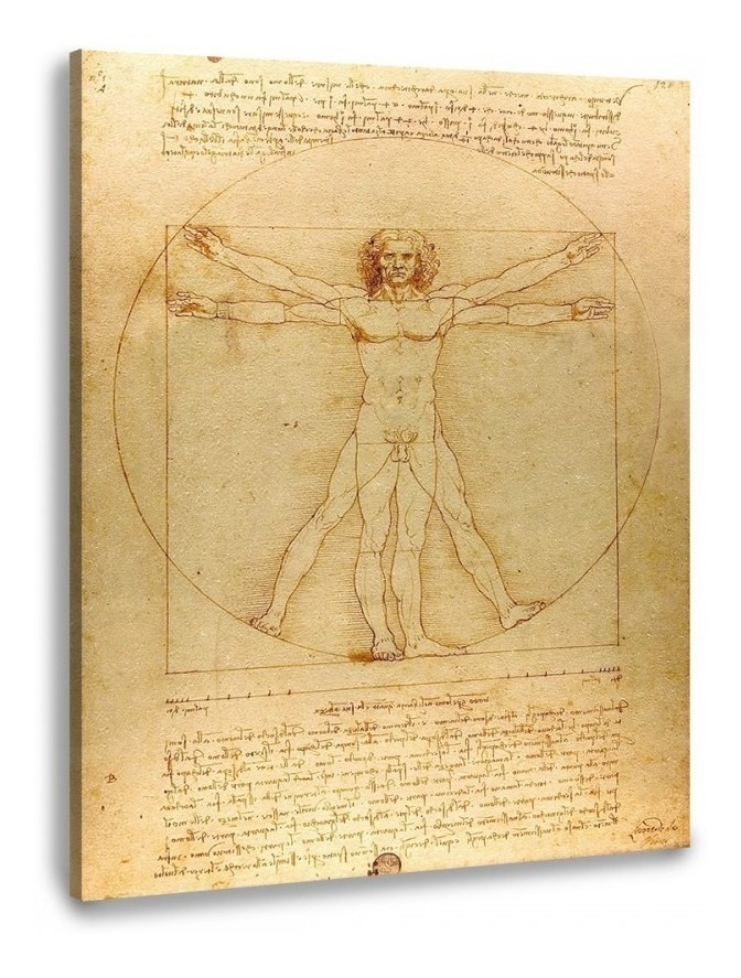 Hombre De Vitruvio Da Vinci Litografía Arte Original Italian