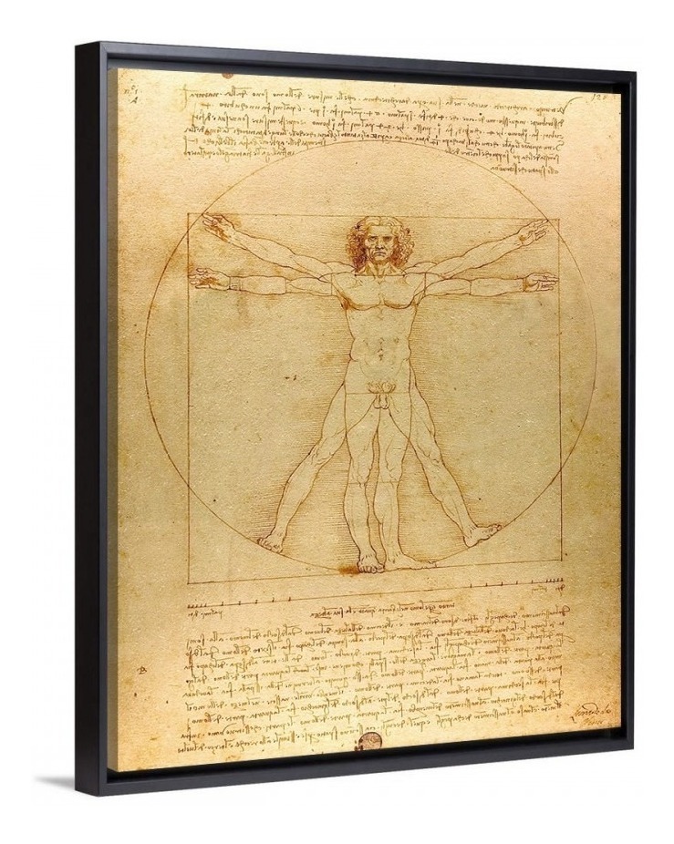 Foto 4 | Hombre De Vitruvio Da Vinci Litografía Arte Original Italian