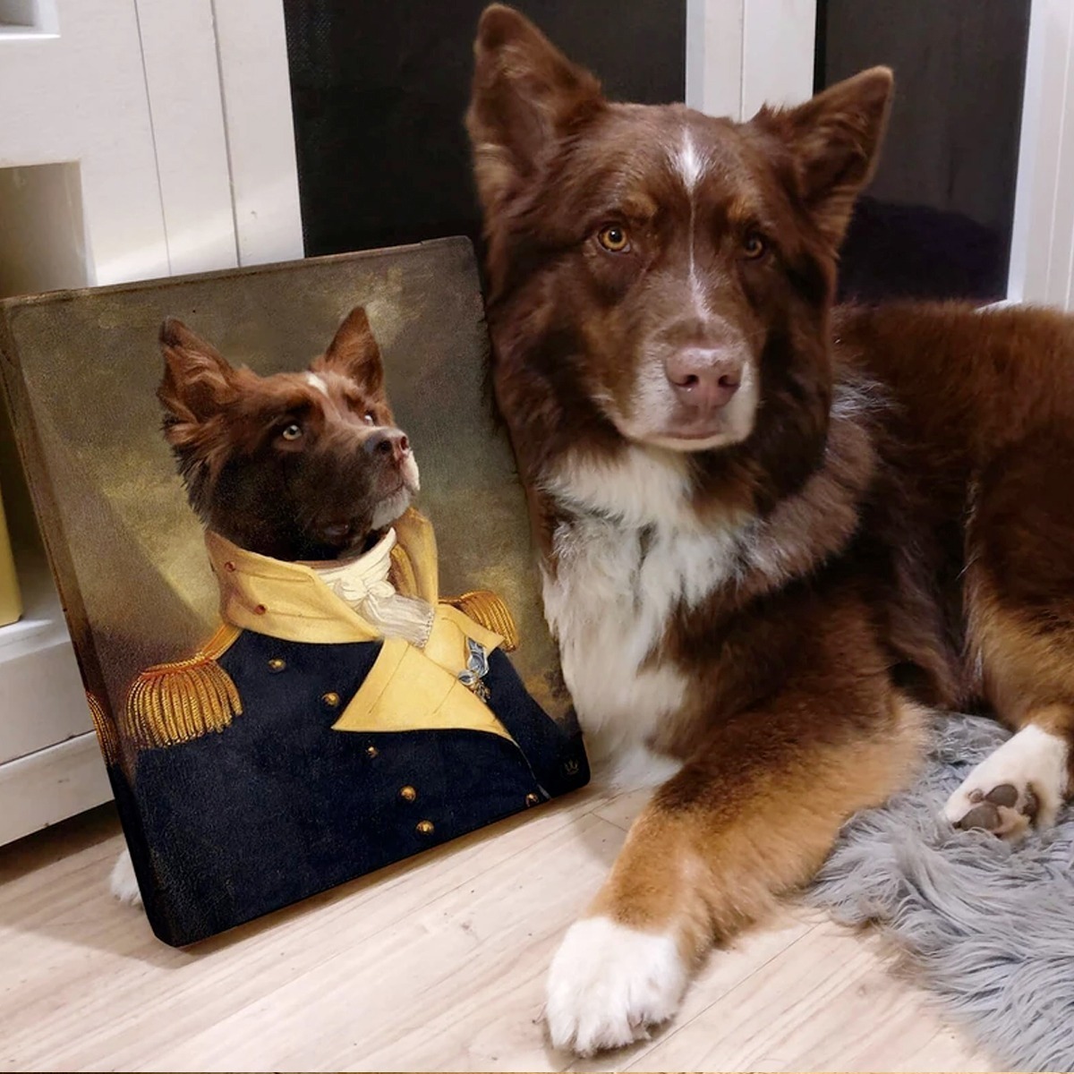 Foto 5 | Cuadro Canvas C/ Retrato De Tu Mascota Perro Gato Varios Mod