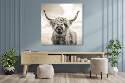 Foto 2 | Cuadro Decogaleria Vaquita Highland Graciosa 55x55 Cm.