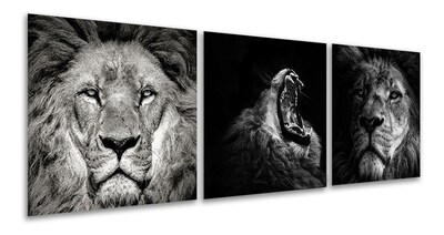 Foto 1 | Set De 3 Cuadros Decorativos Modernos Leones Blanco Y Negro