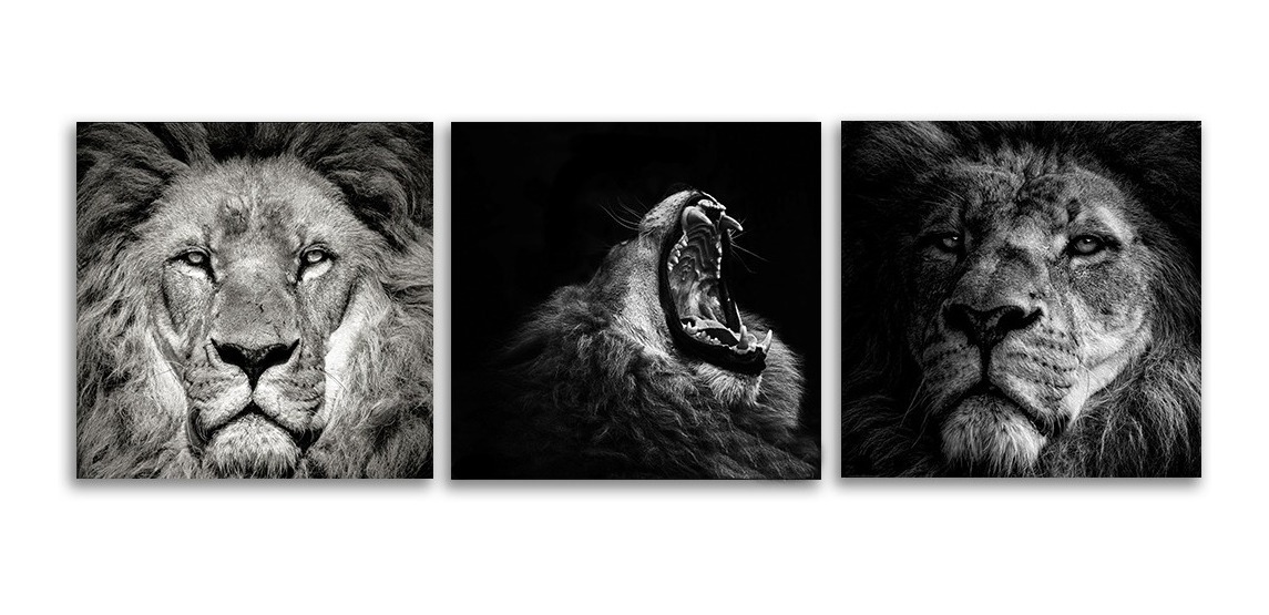 Foto 3 | Set De 3 Cuadros Decorativos Modernos Leones Blanco Y Negro