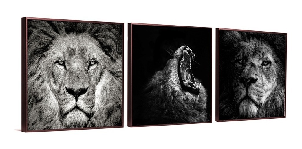 Foto 6 pulgar | Set De 3 Cuadros Decorativos Modernos Leones Blanco Y Negro