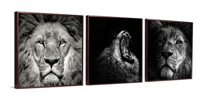 Foto 5 | Set De 3 Cuadros Decorativos Modernos Leones Blanco Y Negro