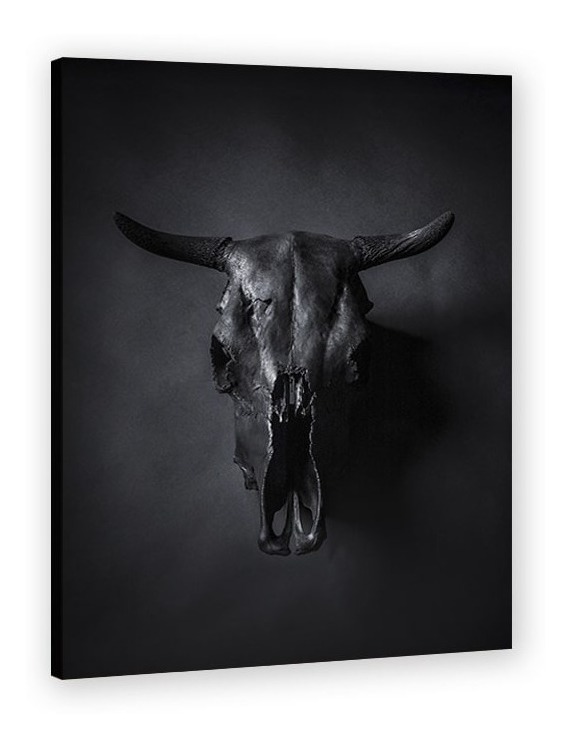 Foto 1 | Cuadro Minimalista Craneo Animal Decoración Minimalista Hd