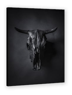 Foto 1 | Cuadro Minimalista Craneo Animal Decoración Minimalista Hd