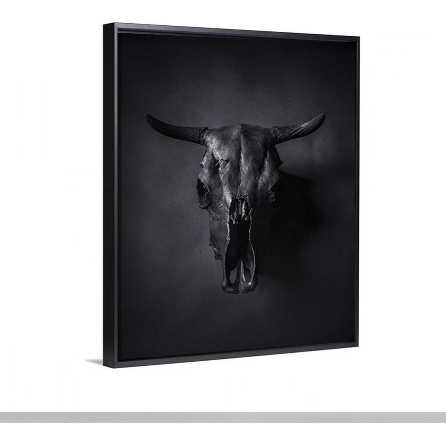 Foto 3 | Cuadro Minimalista Craneo Animal Decoración Minimalista Hd