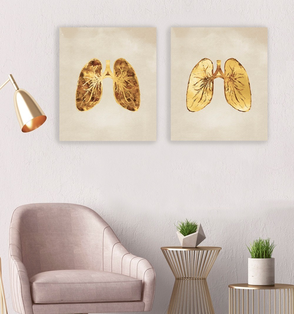 Set Cuadros Decorativos Canvas Consultorio Medico Pulmones