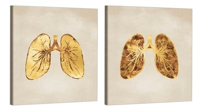 Foto 3 | Set Cuadros Decorativos Canvas Consultorio Medico Pulmones