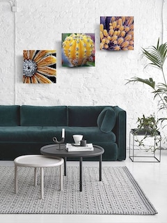 Foto 1 | Tríptico Plantas Cactus Cuadros Decorativos Canvas Varios Mo