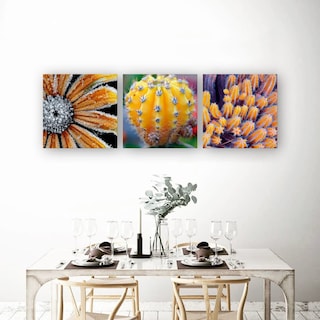 Foto 2 | Tríptico Plantas Cactus Cuadros Decorativos Canvas Varios Mo