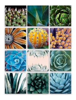 Foto 3 | Tríptico Plantas Cactus Cuadros Decorativos Canvas Varios Mo