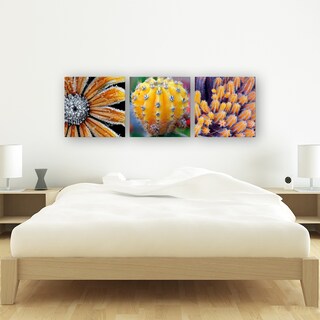Foto 4 | Tríptico Plantas Cactus Cuadros Decorativos Canvas Varios Mo