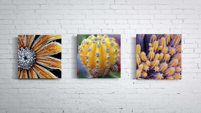 Foto 5 | Tríptico Plantas Cactus Cuadros Decorativos Canvas Varios Mo