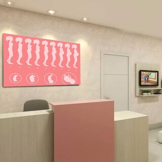 Foto 2 | Cuadro Decorativo Canvas Embarazo Para Consultorio Medico