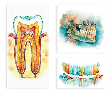 Foto 5 | Cuadros Dentista Odontología Dientes Set En Canvas Con Marco