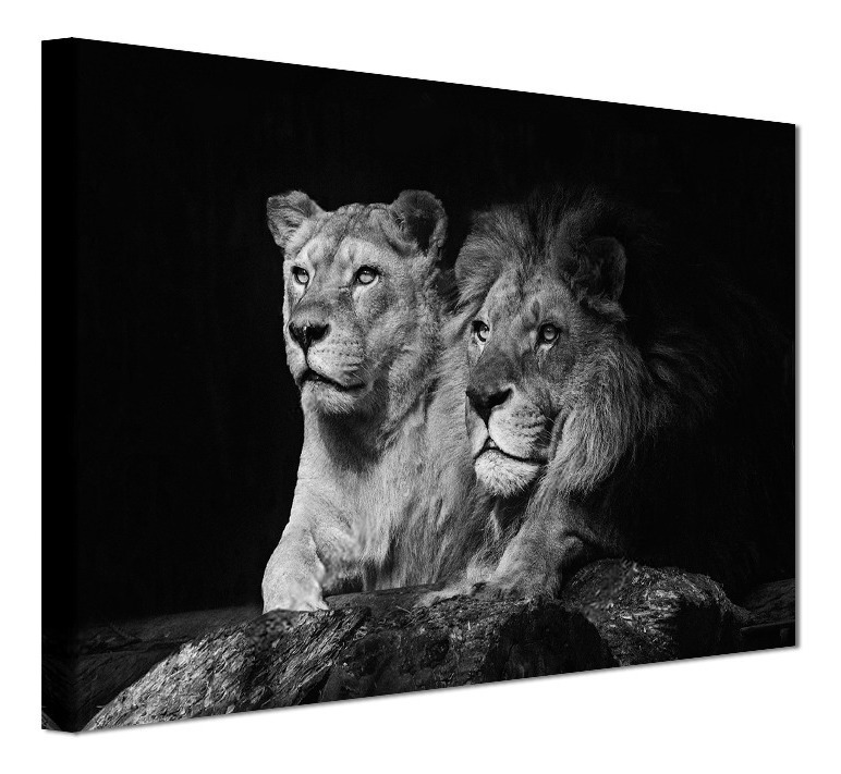 Cuadro Decorativo Canvas Leones, Moderno Para Recamara, Sala