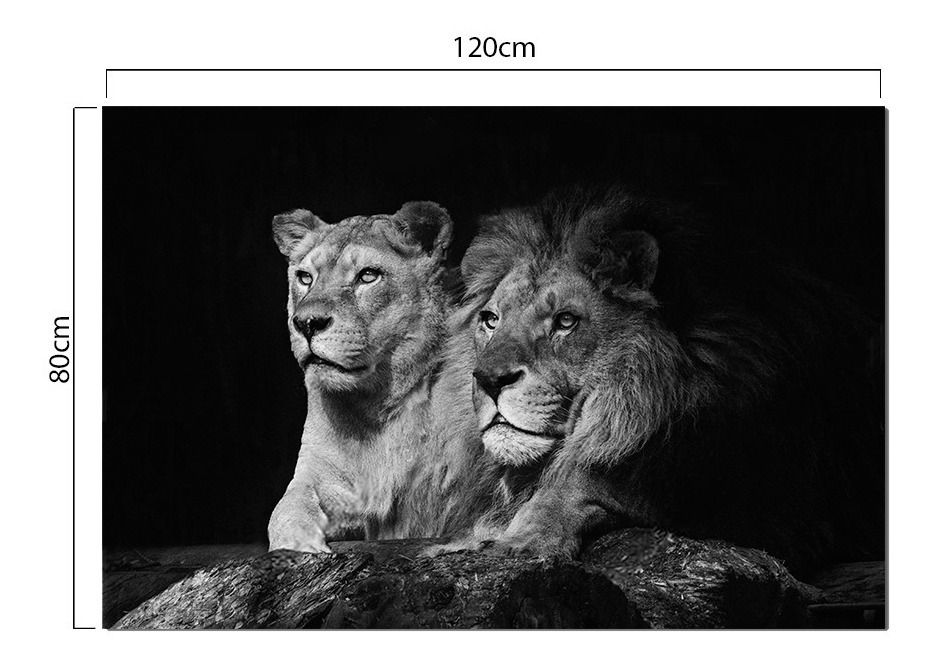 Foto 2 | Cuadro Decorativo Canvas Leones, Moderno Para Recamara, Sala