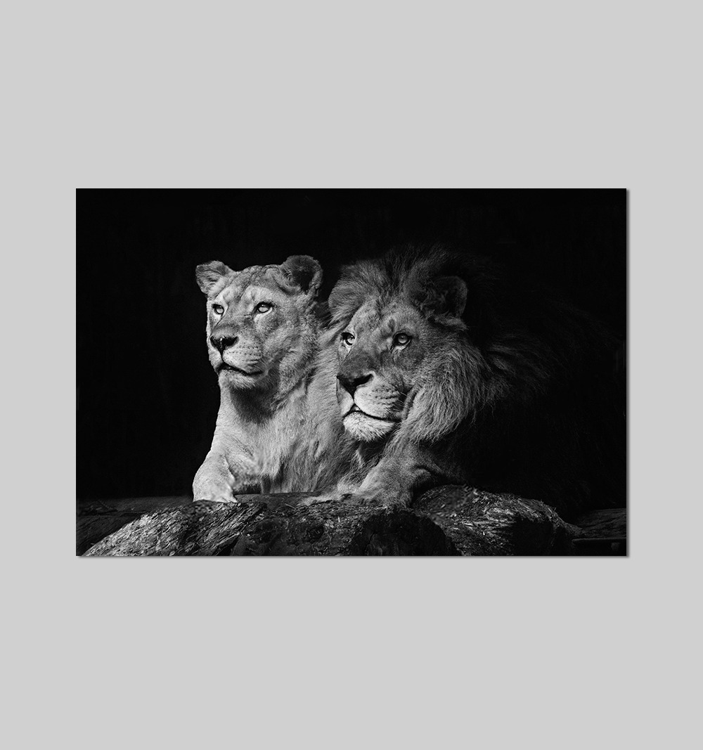 Foto 5 | Cuadro Decorativo Canvas Leones, Moderno Para Recamara, Sala