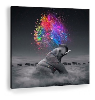 Foto 1 | Cuadro Elefante Colores Moderno En Lienzo Canvas Envío Grati