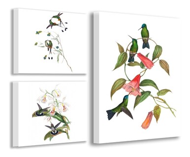 Foto 3 | Cuadros Colibríes Moderno Elegante Para Sala Cocina Set 3pz