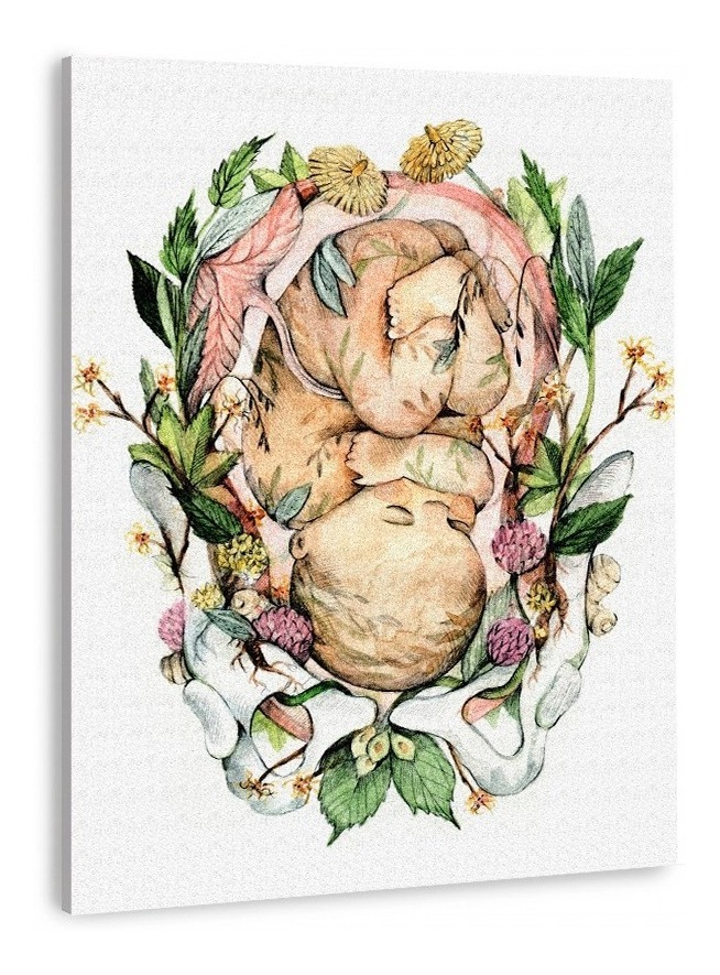 Foto 1 | Cuadro Decorativo Para Consultorio Medico Pediatra