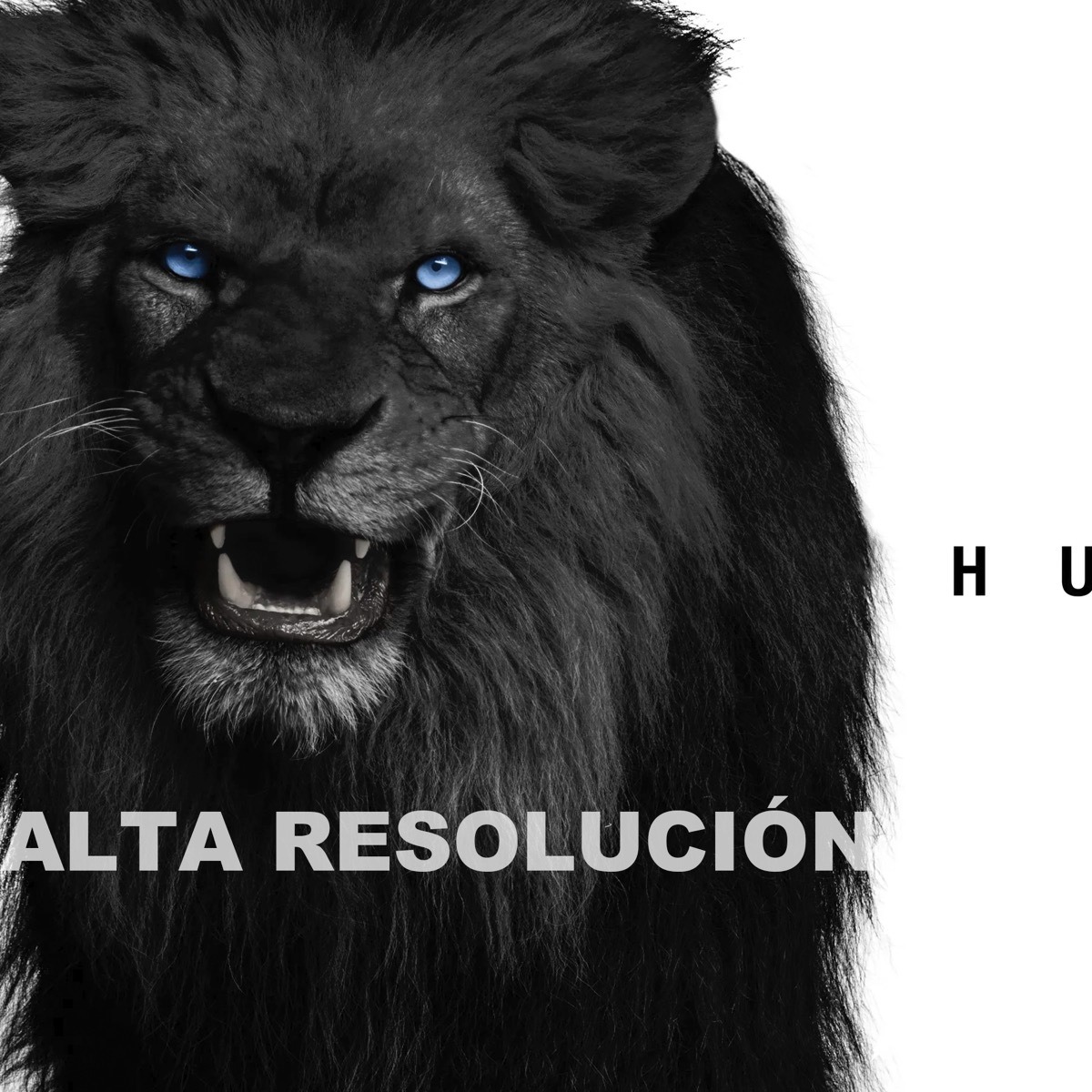 Foto 4 | Canvas Leon Always Hungry Money Oficina  140x90 Premium
