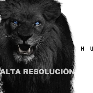Foto 4 | Canvas Leon Always Hungry Money Oficina 140x90 Premium