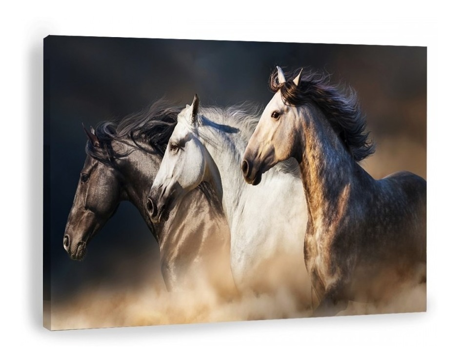 Cuadro Caballos Corriendo Moderno En Canvas Alta Calidad Hd