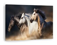 Cuadro Caballos Corriendo Moderno En Canvas Alta Calidad Hd