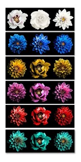 Foto 5 | Cuadro Decorativo Flores Opción De Colores Modernas Canvas