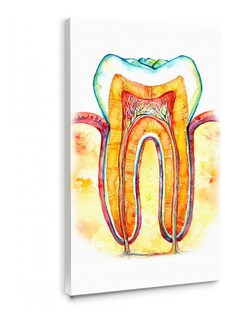 Foto 3 | Cuadros Dentista Consultorio Odontología Canvas C/ Bastidor Color Multicolor
