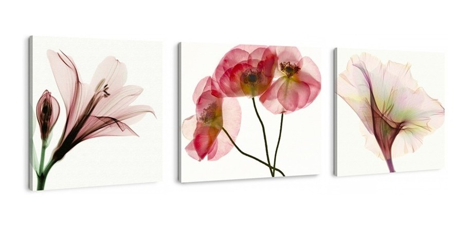 Set Cuadros Flores Minimalista Moderno Naturaleza En Canvas